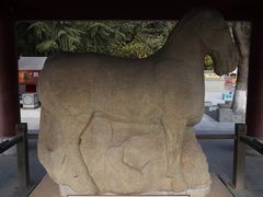 -秦始皇帝陵博物院-丽山园