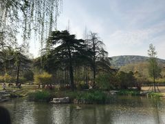 -习家池
