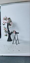 -盘子女人坊生日照·摄影馆(浦东店)