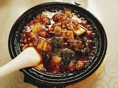 金牌麻辣豆腐-陈麻婆豆腐总店