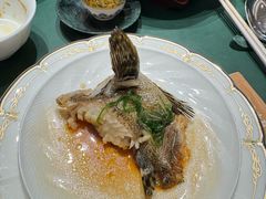 清蒸海石斑-南海渔村(珠江新城店)