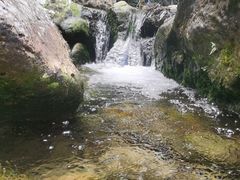 -南海湾森林生态园