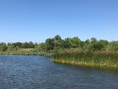 -溱湖国家湿地公园