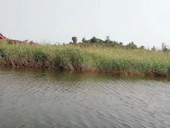 -卤阳湖国家湿地公园