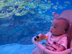 -海合安成都极地海洋公园