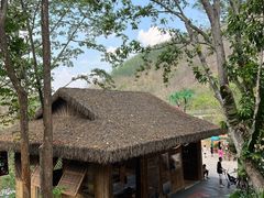 -西双版纳原始森林公园