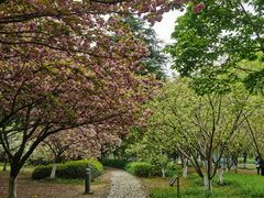 -白塘生态植物园