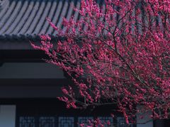-范蠡湖公园