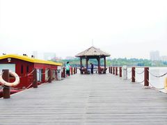 -海珠湖公园