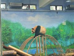 -杭州动物园