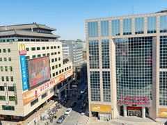 -喜悦烤鸭·新京菜(王府井店)