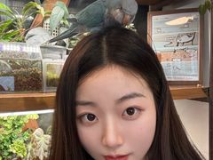 -吉丁鸟咖·异宠·寄养