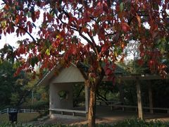 -晓港公园