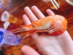 -大赤坎肥仔强烧味海鲜餐厅(大赤坎店)
