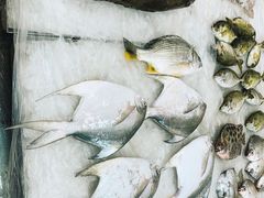 -金水门银河酒楼(新埠岛店)