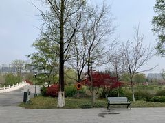 -桃花岛公园