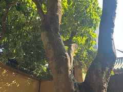 -福州开元寺