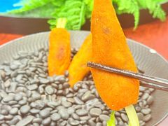 -丁老爷子苏香圆