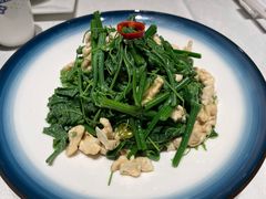 橄榄油拌丝瓜尖-北平楼·烤鸭·北京菜(牡丹园店)