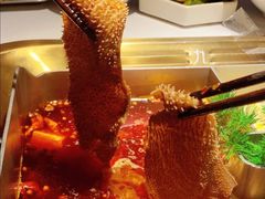 -九鼎轩脆毛肚火锅(三钢里店)
