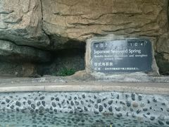 -海口观澜湖火山温泉谷