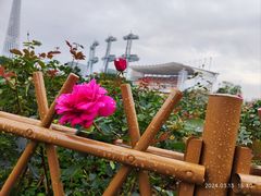 -海心沙亚运公园