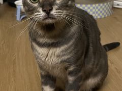 -瑞鹏宠物医院·骨科·猫科·内科(第一中心)