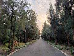 -漩门湾国家湿地公园