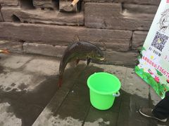 -涞滩古镇