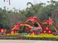 -晓港公园