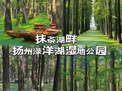 -渌洋湖湿地公园