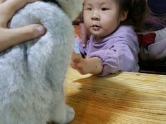 -李小姐の猫咖啡馆(五角场店)