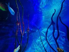 -沈阳海洋探索中心