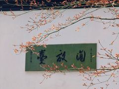 -西湖游船