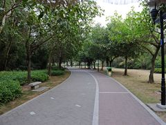 -野狸岛