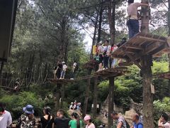 -梦幻奥陶纪景区