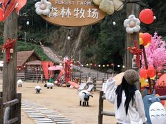 -龙岩森林水乡景区