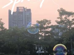 -顺峰山公园