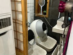 -是阿柴呀！柴犬咖啡·爱喵喵猫咖