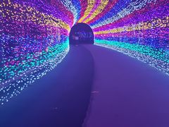 -杨柳青庄园