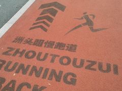 -洲头咀公园
