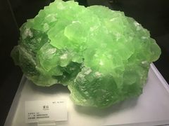 -湖南省地质博物馆