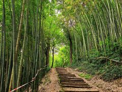 -西湖风景区十里琅珰-五云山