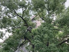 -淞虹路P+R停车场