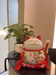 -Fundi张玉珊修身堂·indiba·BTL科技瘦身
