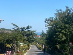 -崂山仰口游览区