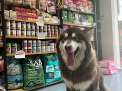 -奶牛家宠物酒店(嘉宏云顶店)