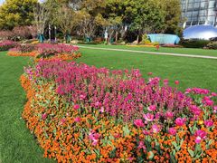 -北外滩滨江绿地