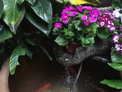 -陌上花开餐厅(云山路店)