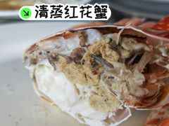 清蒸红花蟹-明润海鲜(南边海店)